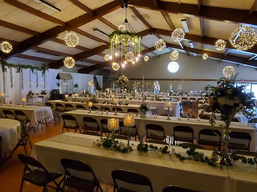 Wedding Highlights - Christmas, Wedding, Event Lighting